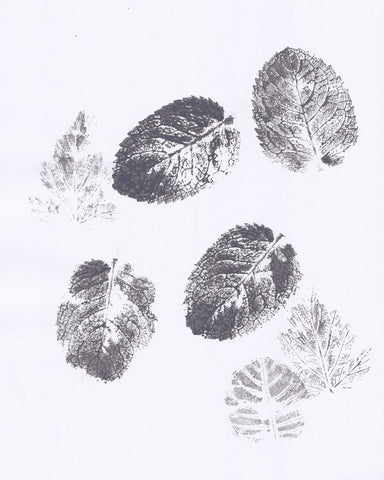 Botanical Leaf Prints No2