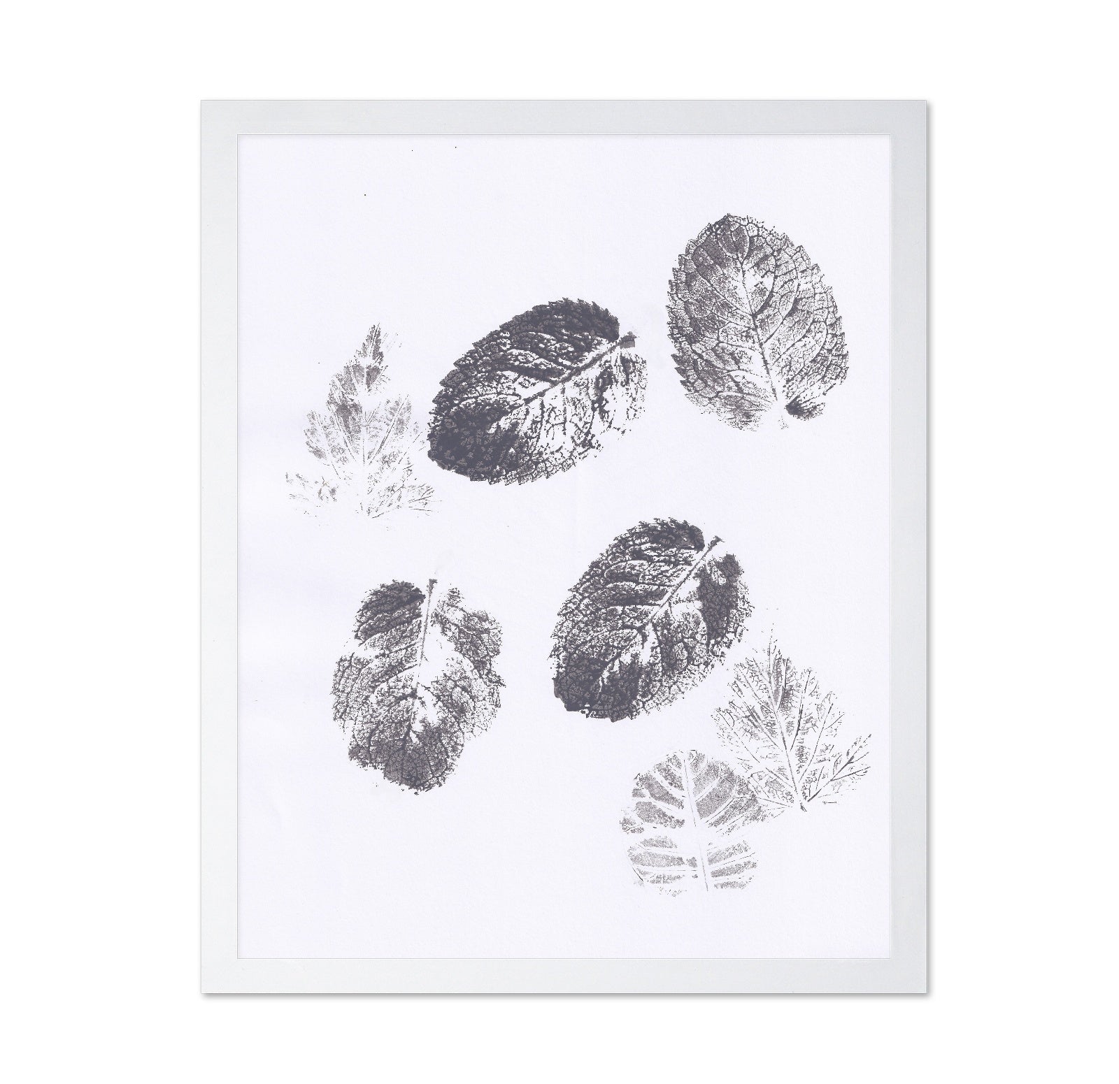 Botanical Leaf Prints No2