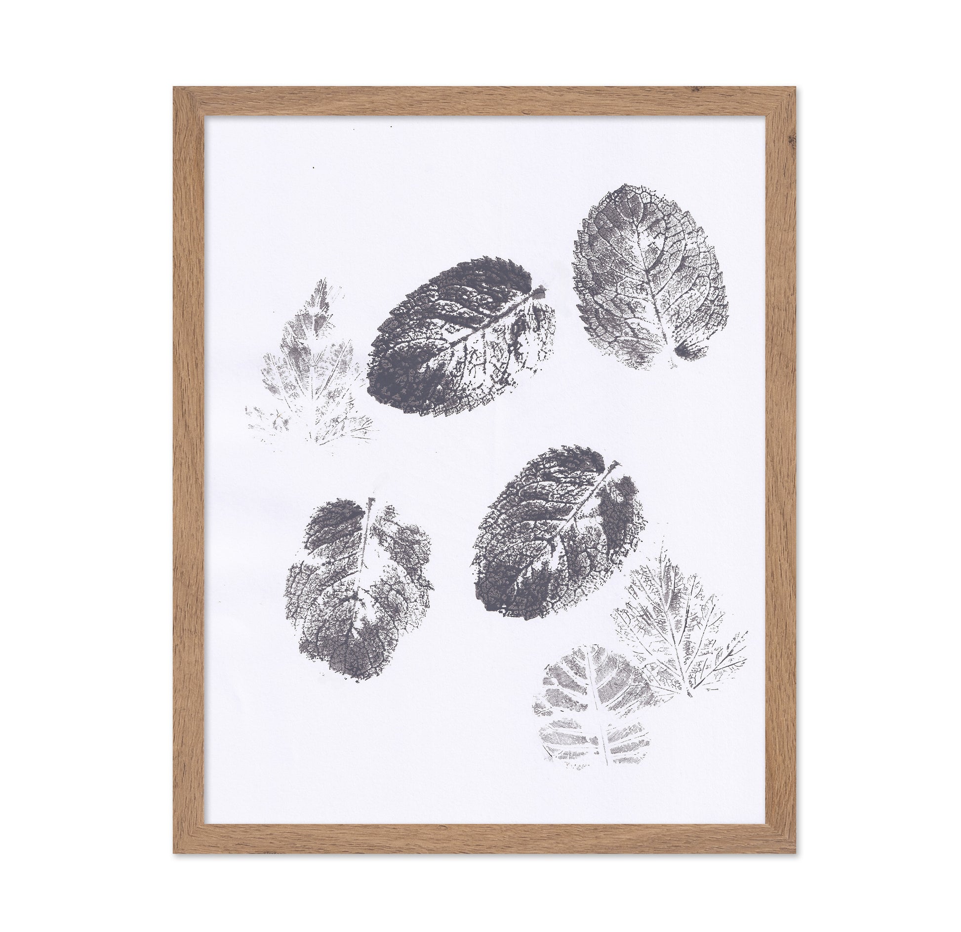 Botanical Leaf Prints No2