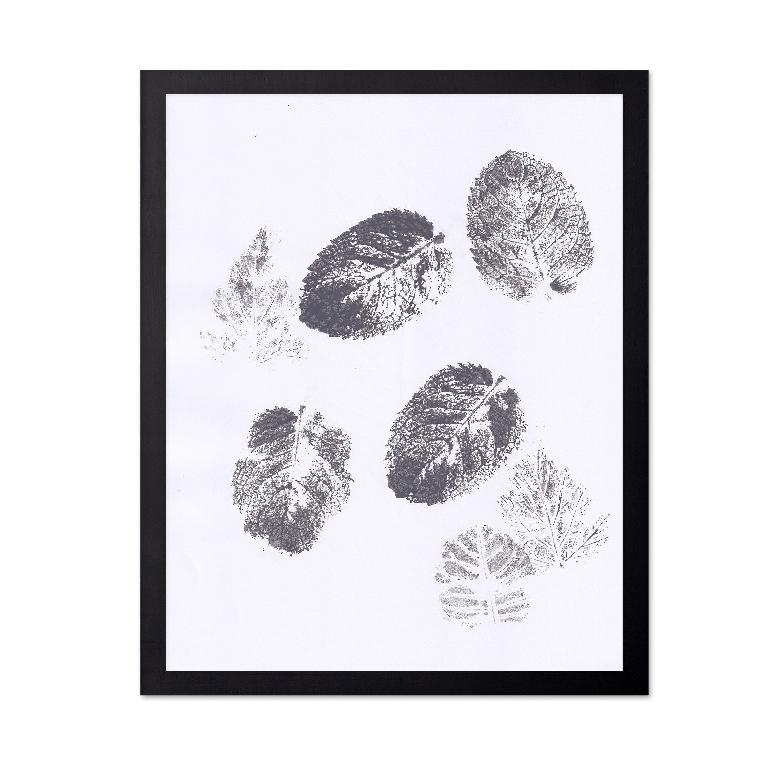 Botanical Leaf Prints No2