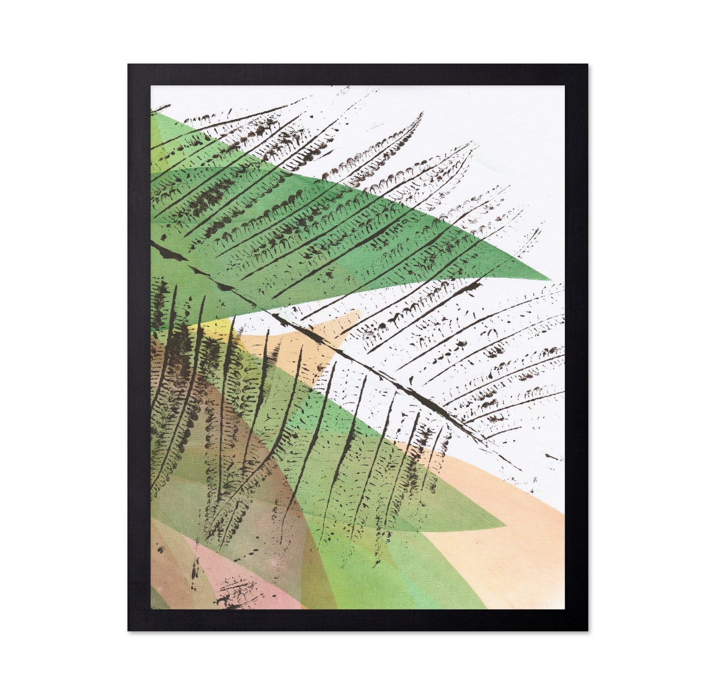 Layered Fern Study
