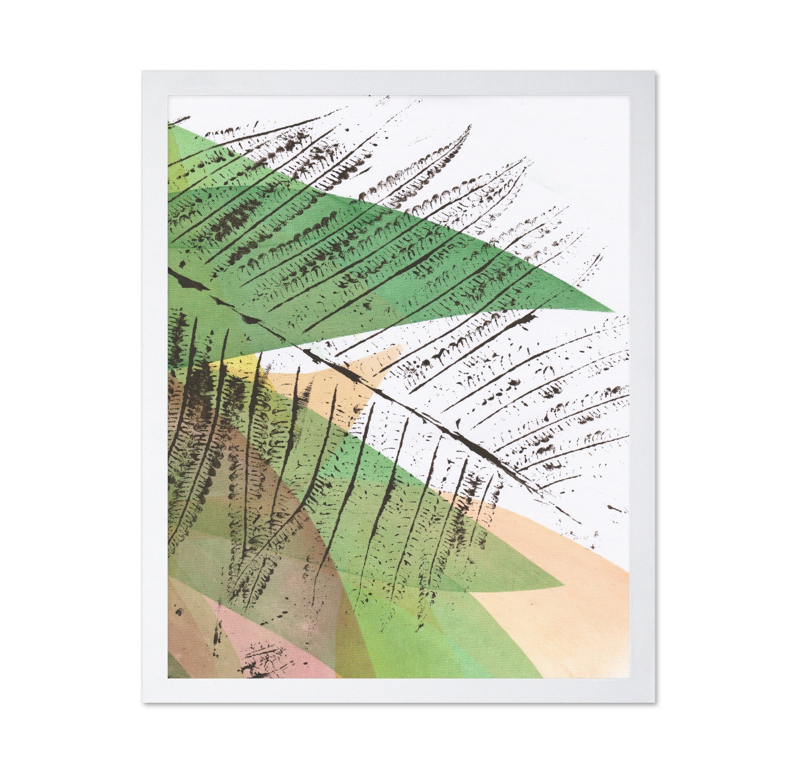 Layered Fern Study