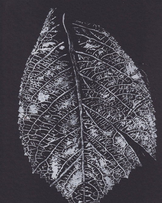 Monochrome Leaf Print No1