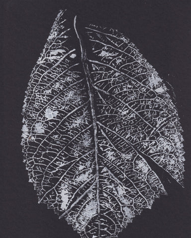 Monochrome Leaf Print No1