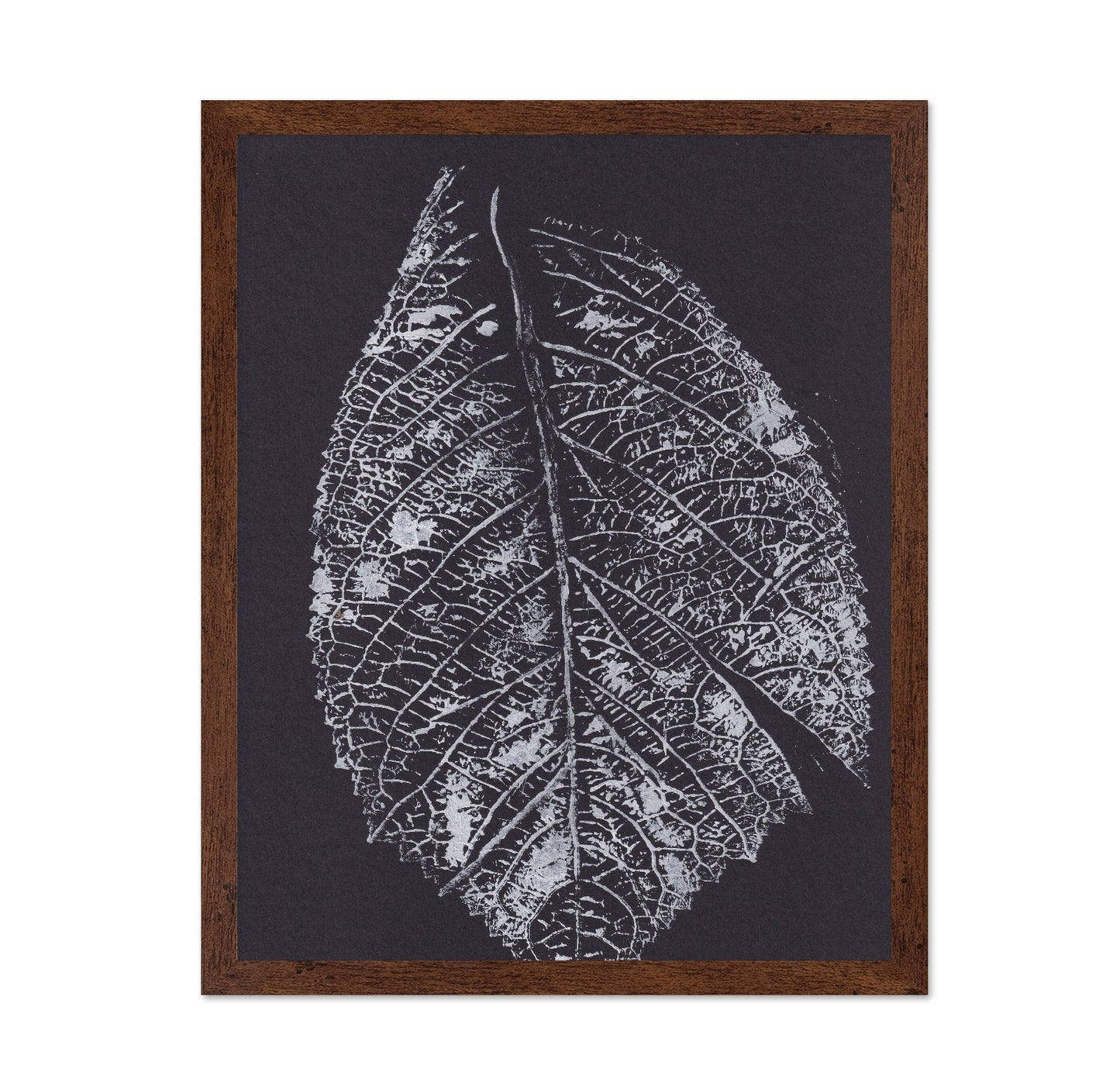 Monochrome Leaf Print No1