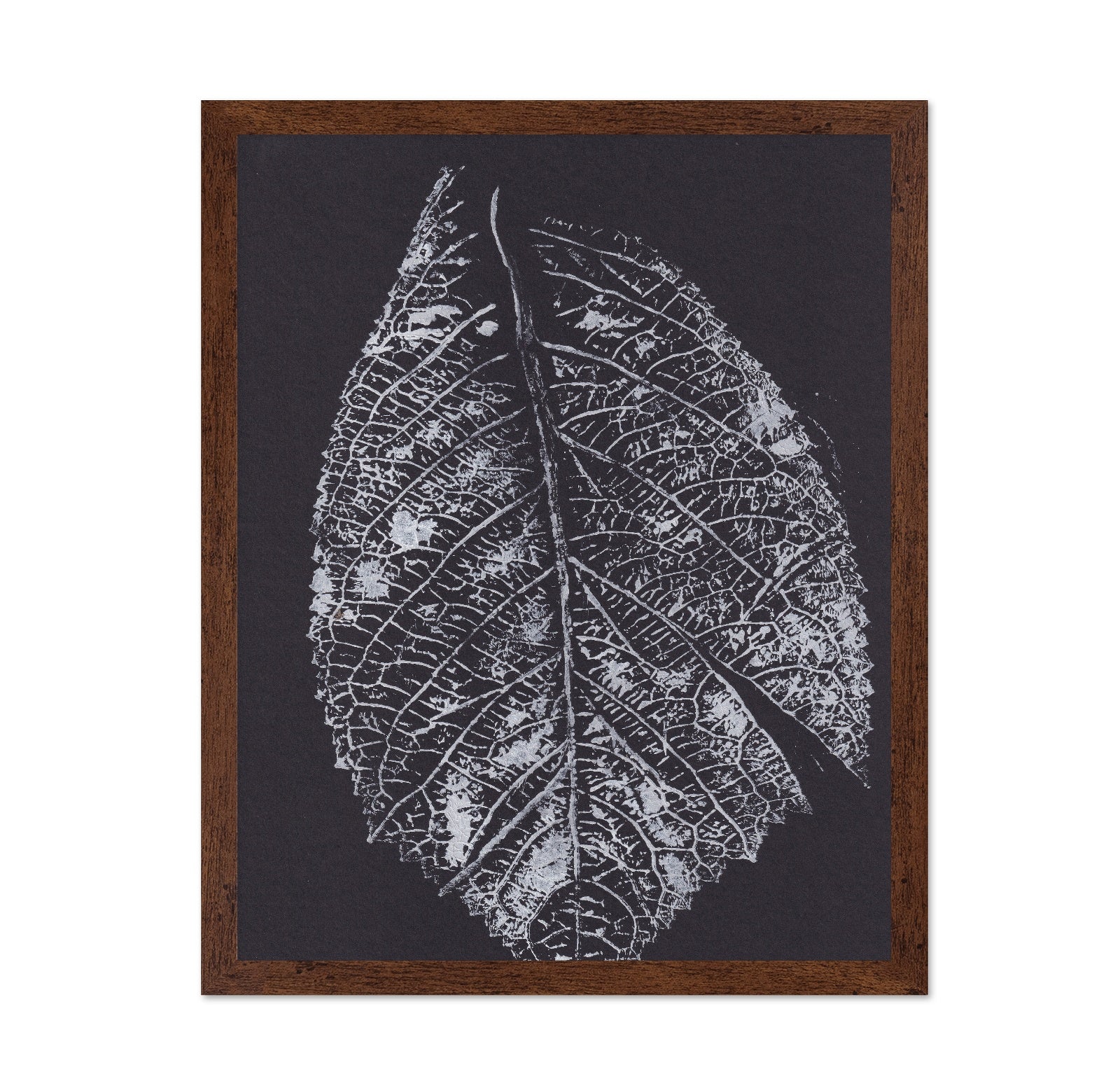 Monochrome Leaf Print No1