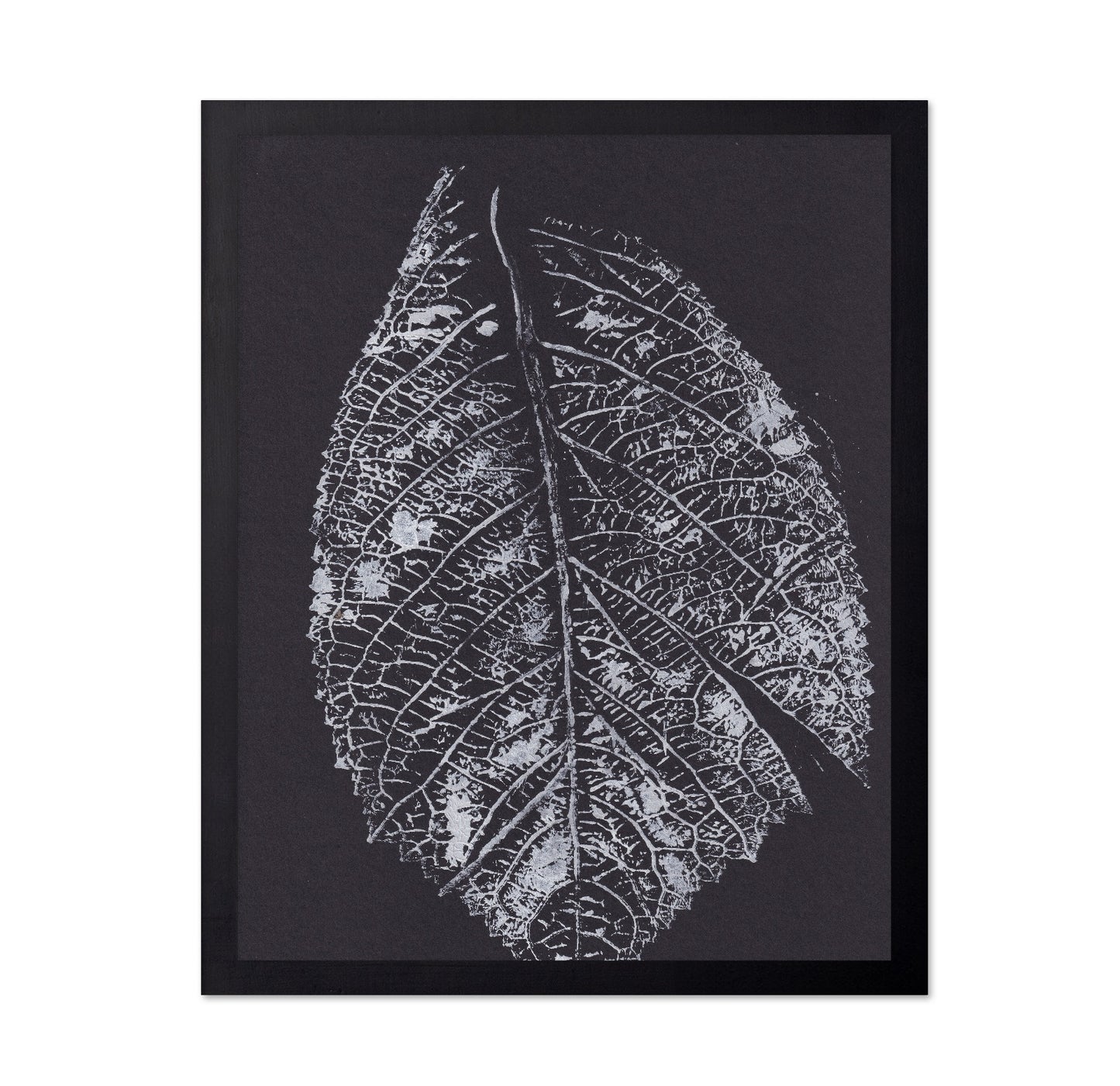 Monochrome Leaf Print No1