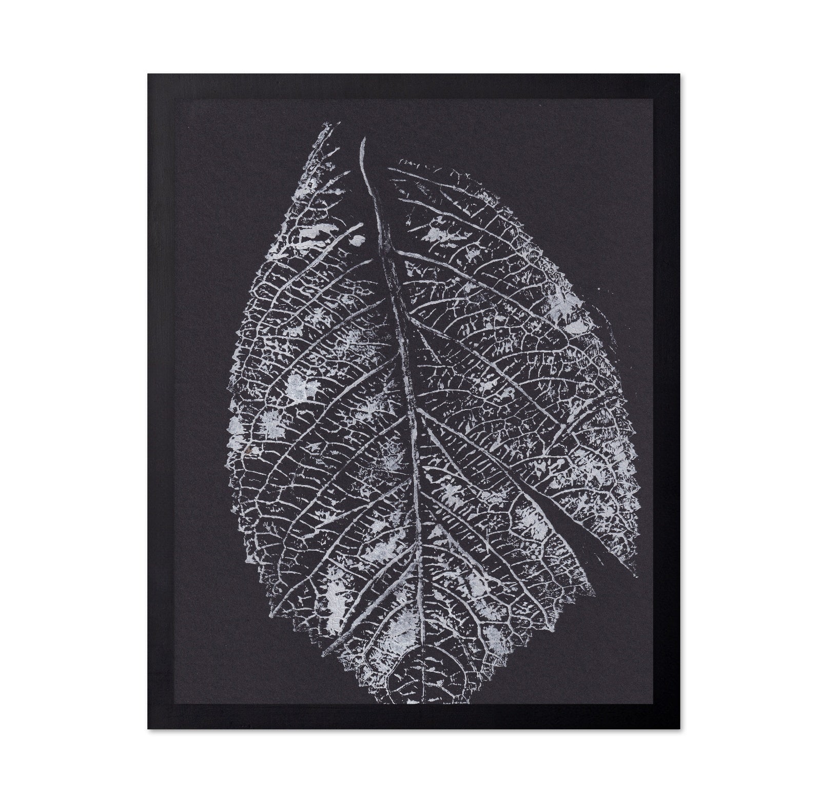 Monochrome Leaf Print No1