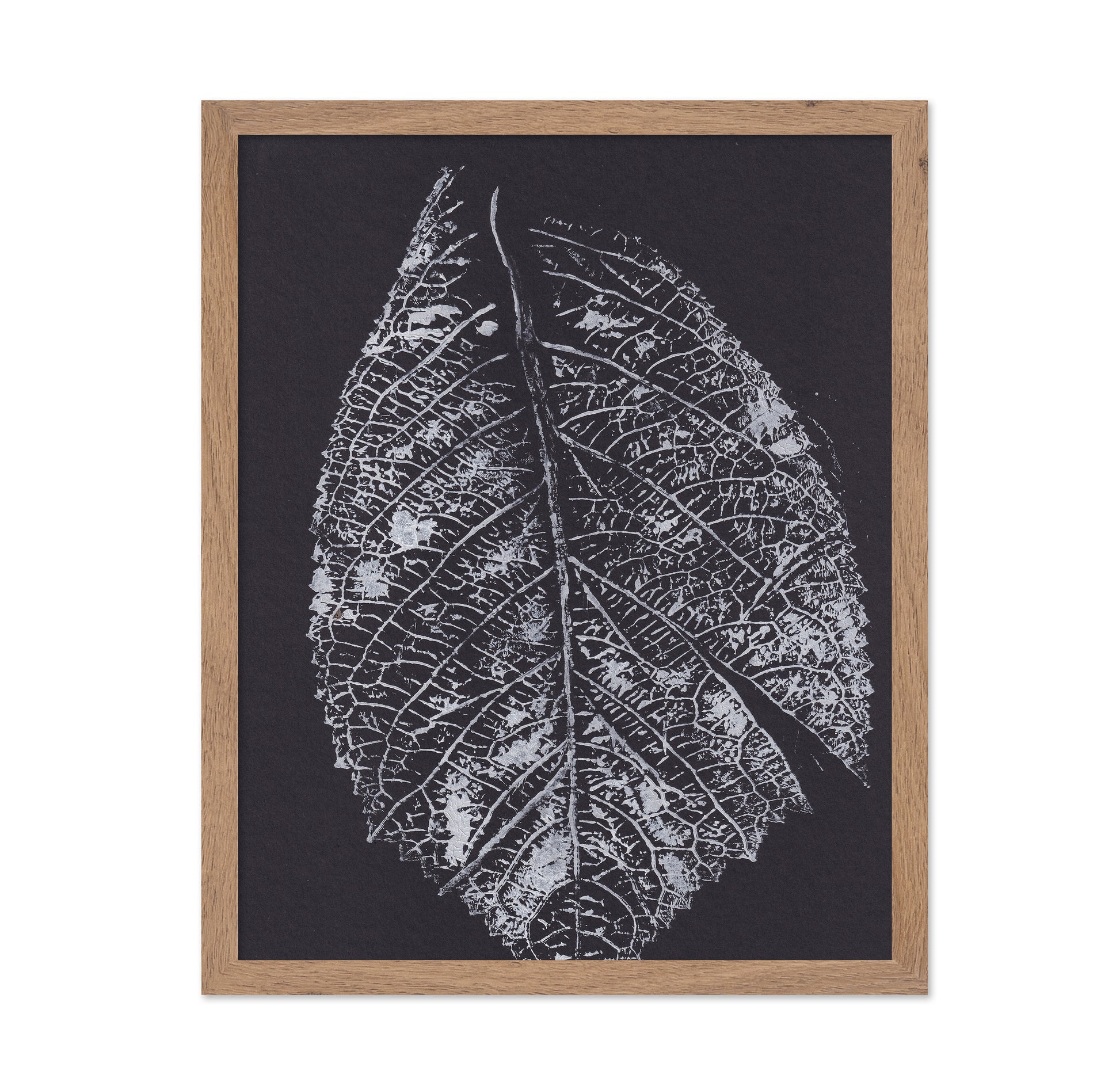 Monochrome Leaf Print No1