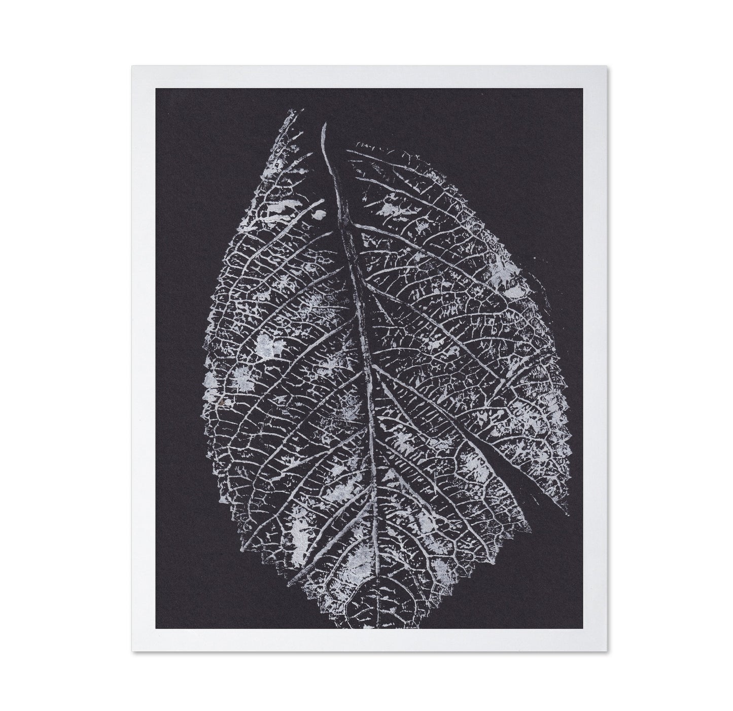 Monochrome Leaf Print No1