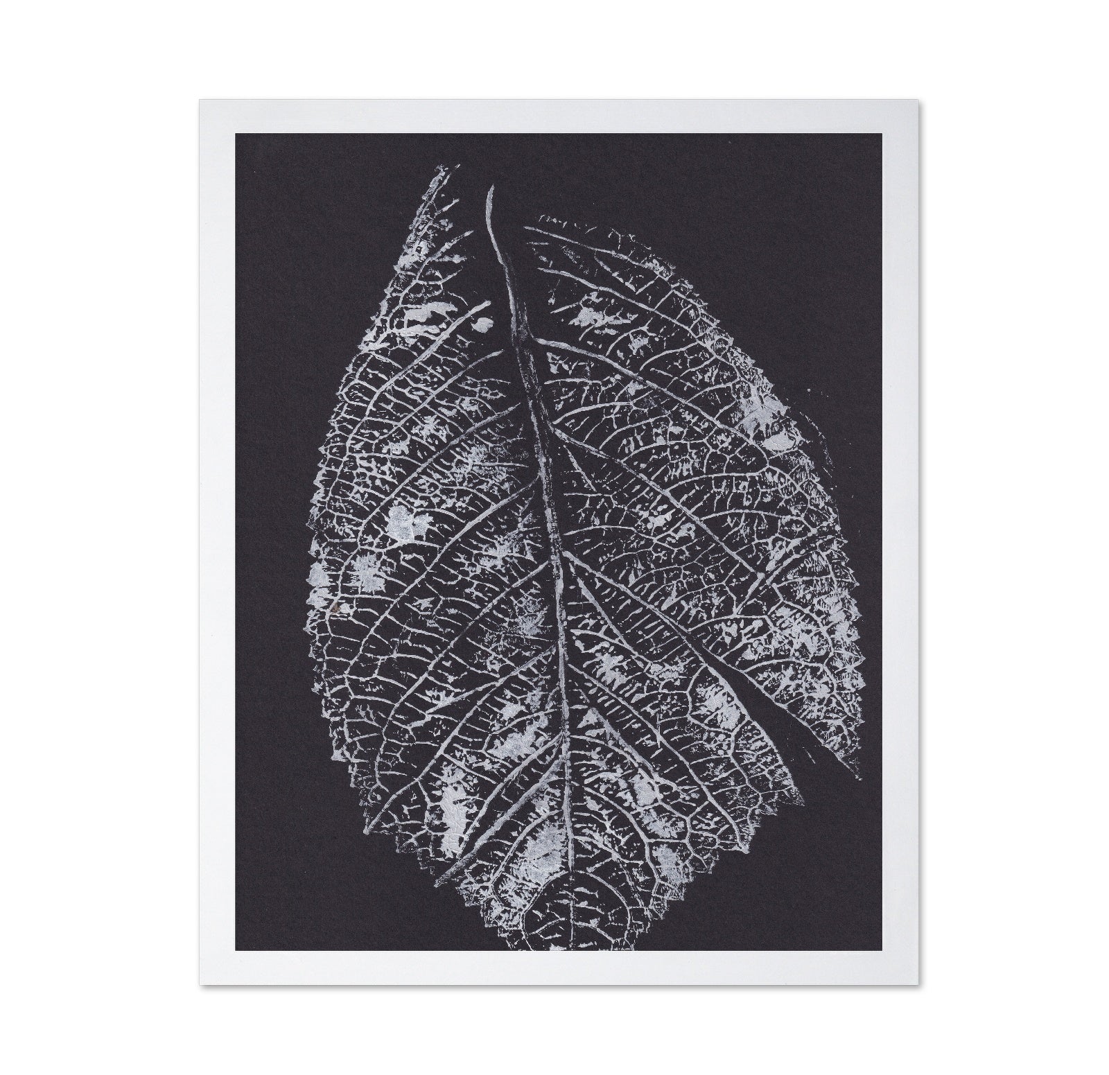 Monochrome Leaf Print No1