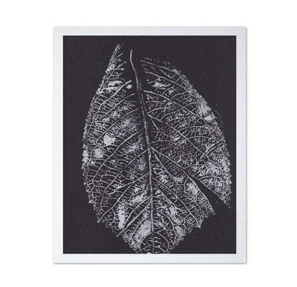 Monochrome Leaf Print No1
