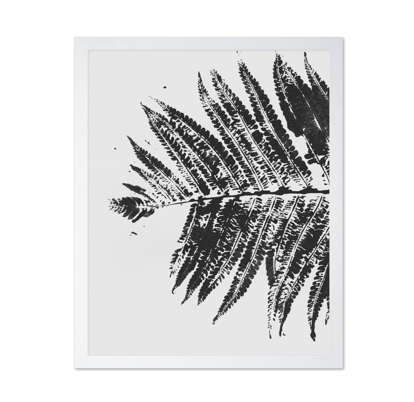 Fern Shadow Print