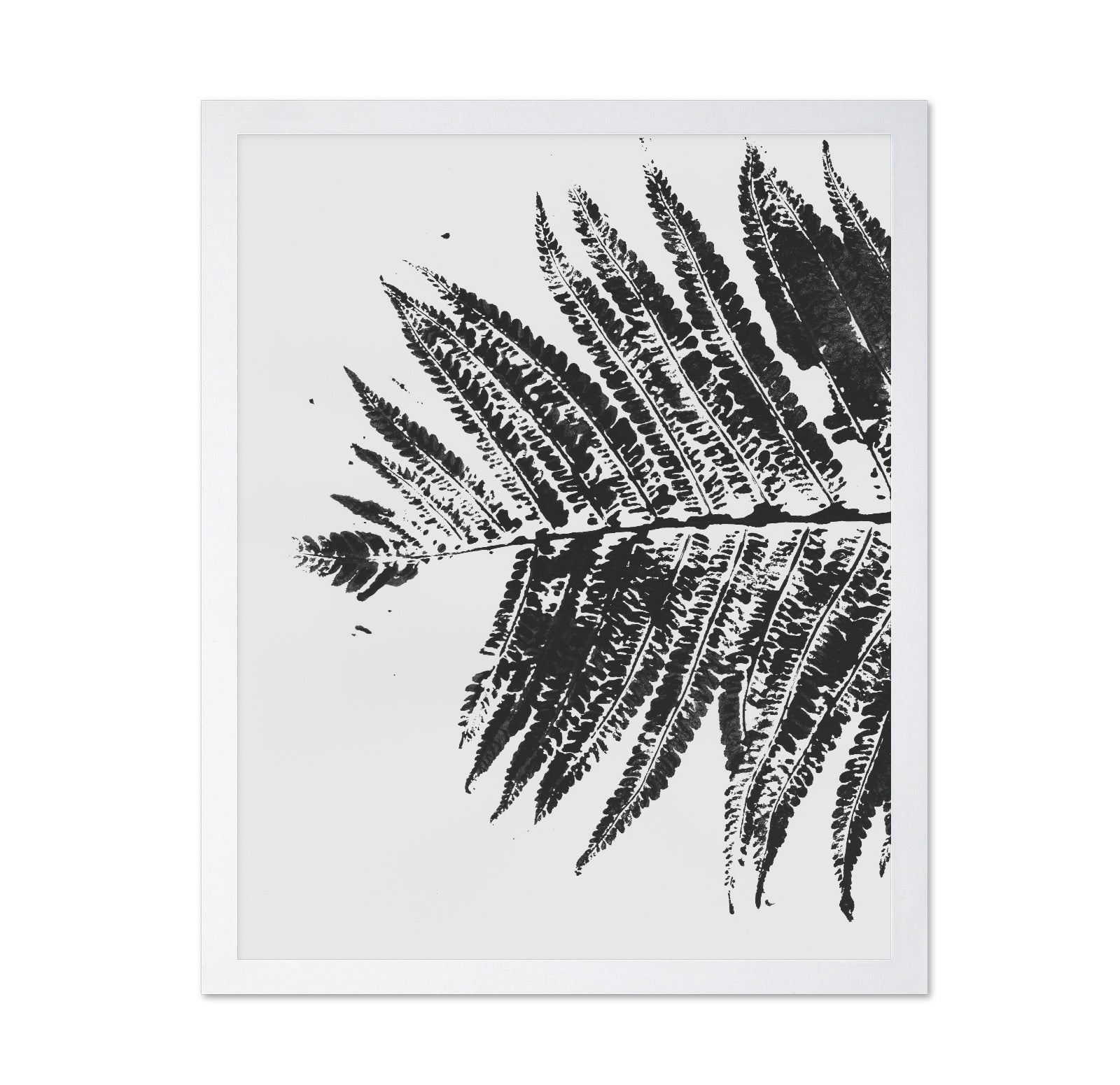 Fern Shadow Print