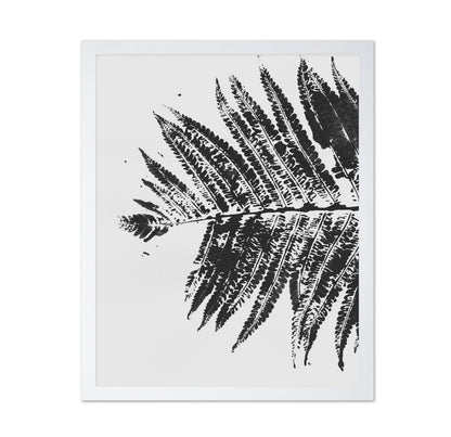Fern Shadow Print