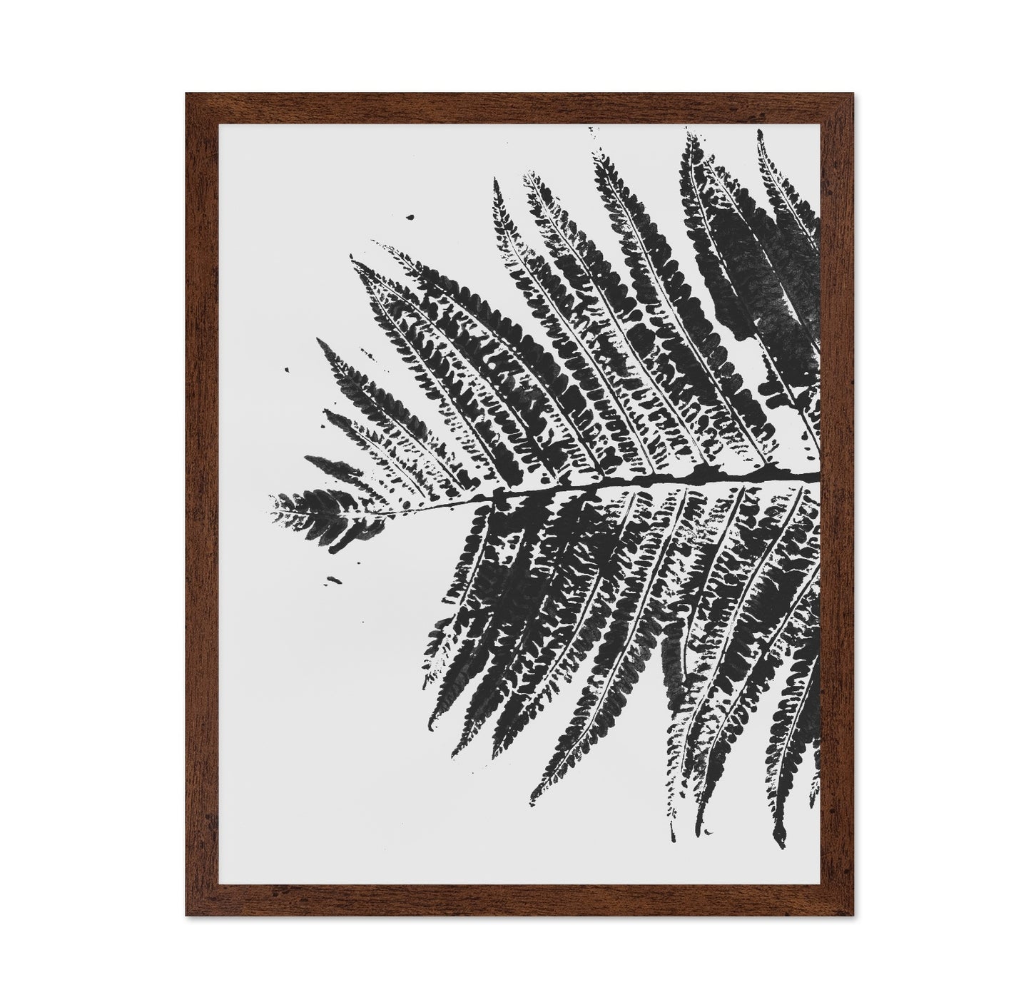Fern Shadow Print
