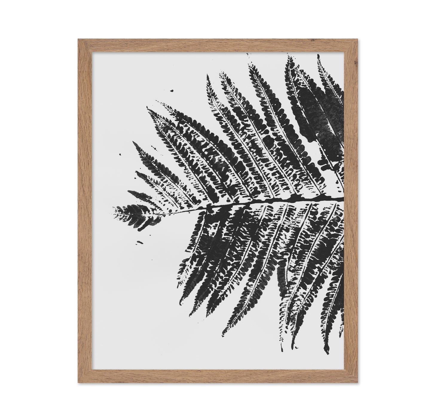 Fern Shadow Print