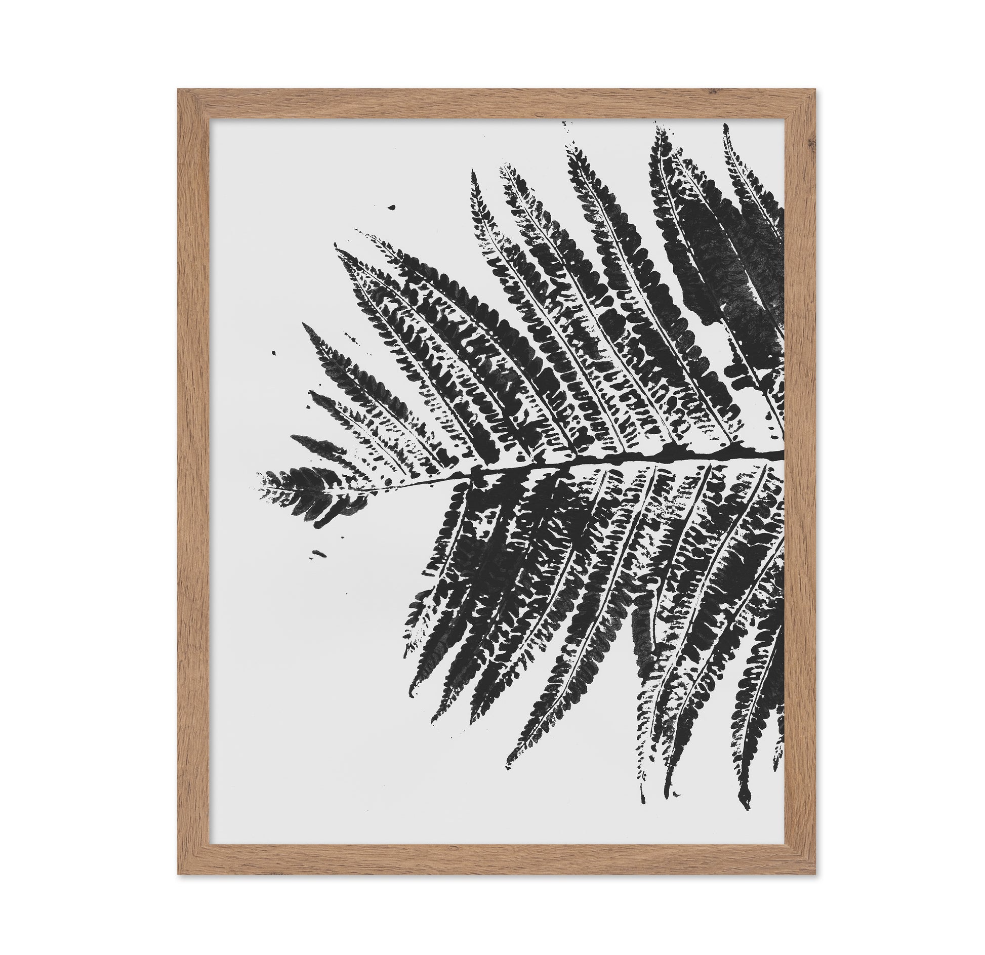 Fern Shadow Print
