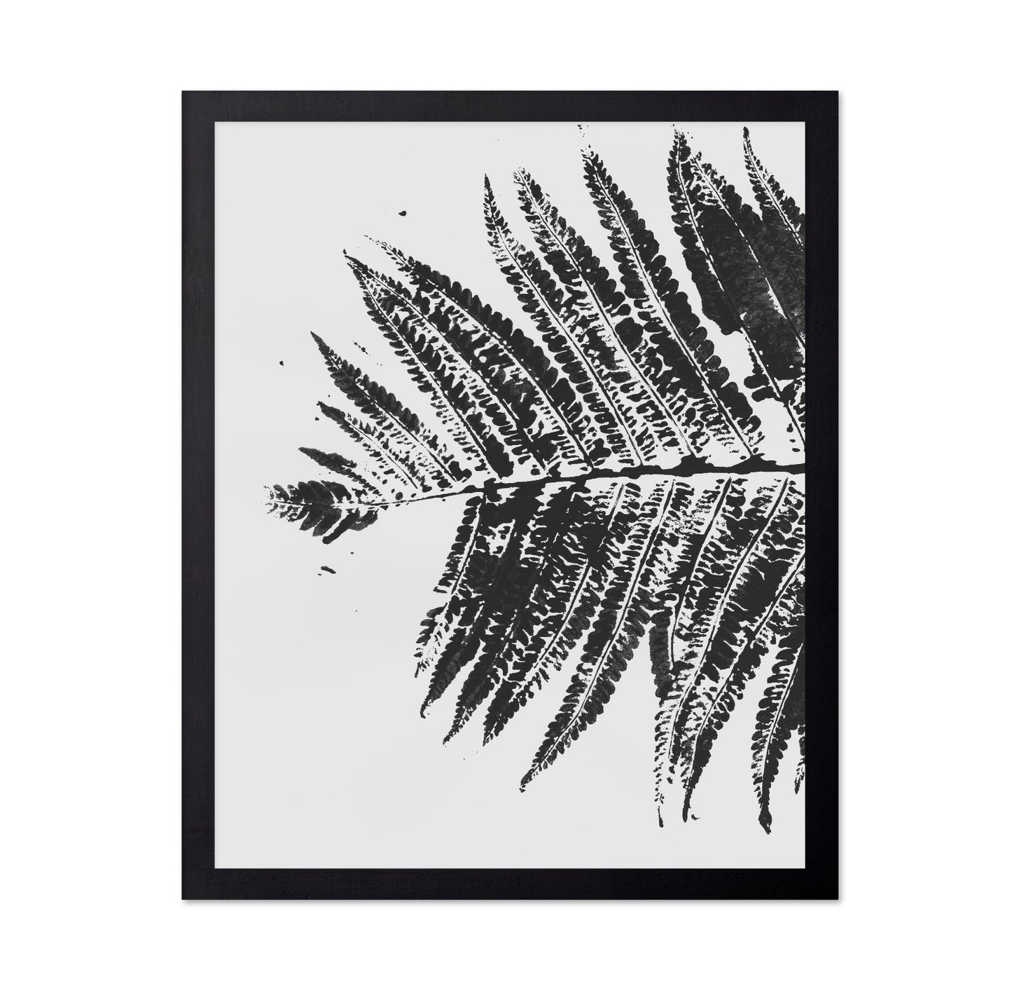 Fern Shadow Print