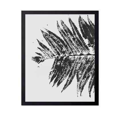 Fern Shadow Print