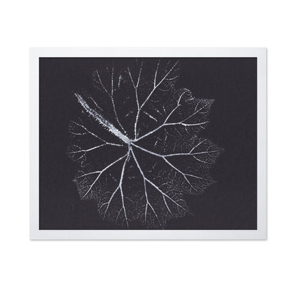 Nature Branch Fractal
