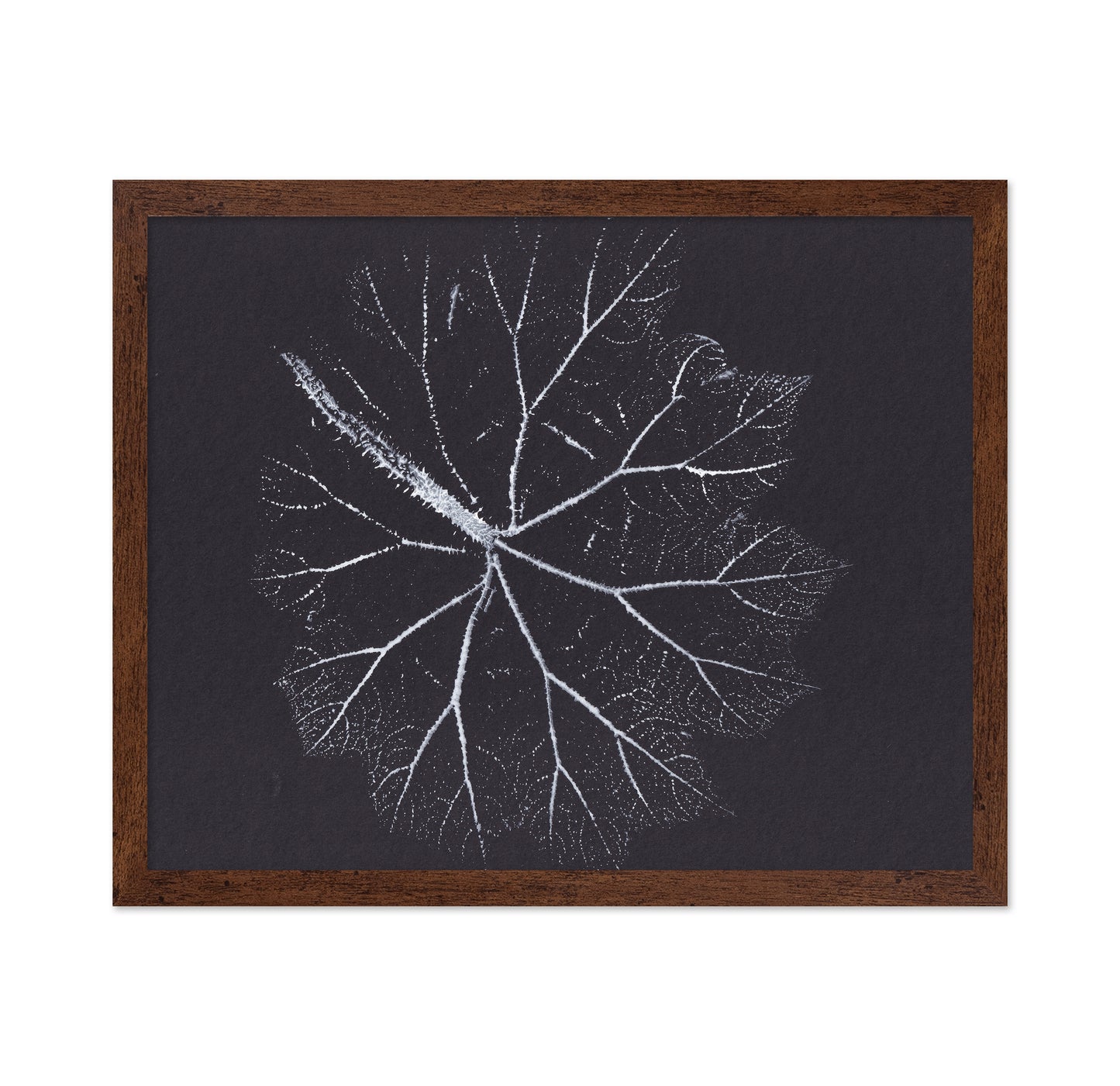 Nature Branch Fractal