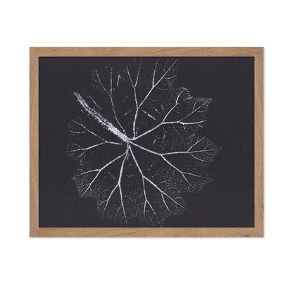 Nature Branch Fractal