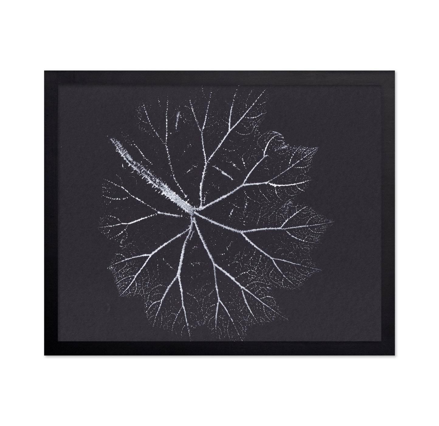 Nature Branch Fractal