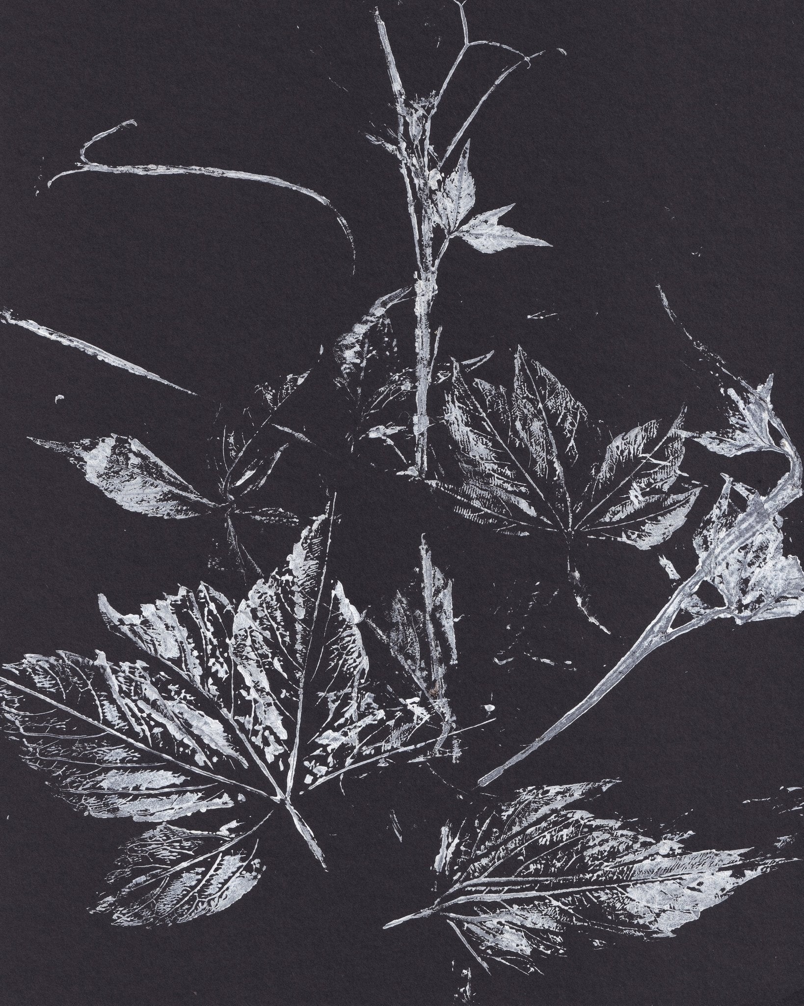 Climbing Plant Imprints