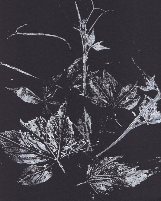 Climbing Plant Imprints