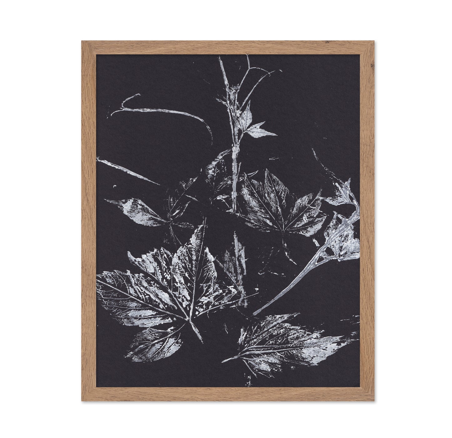 Climbing Plant Imprints