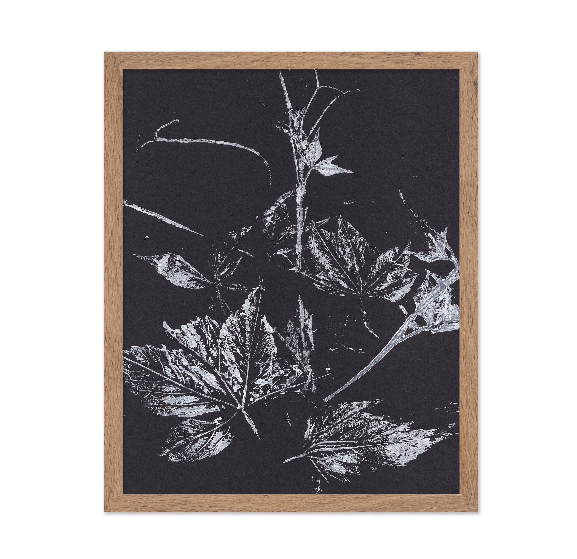 Climbing Plant Imprints