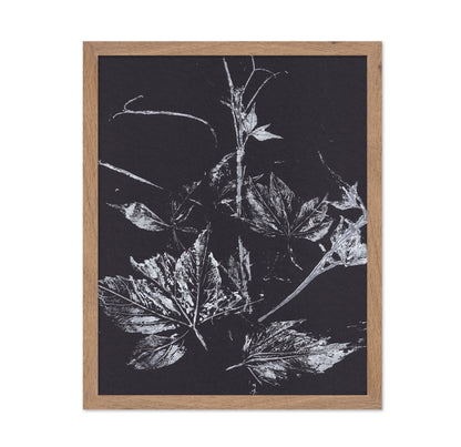 Climbing Plant Imprints