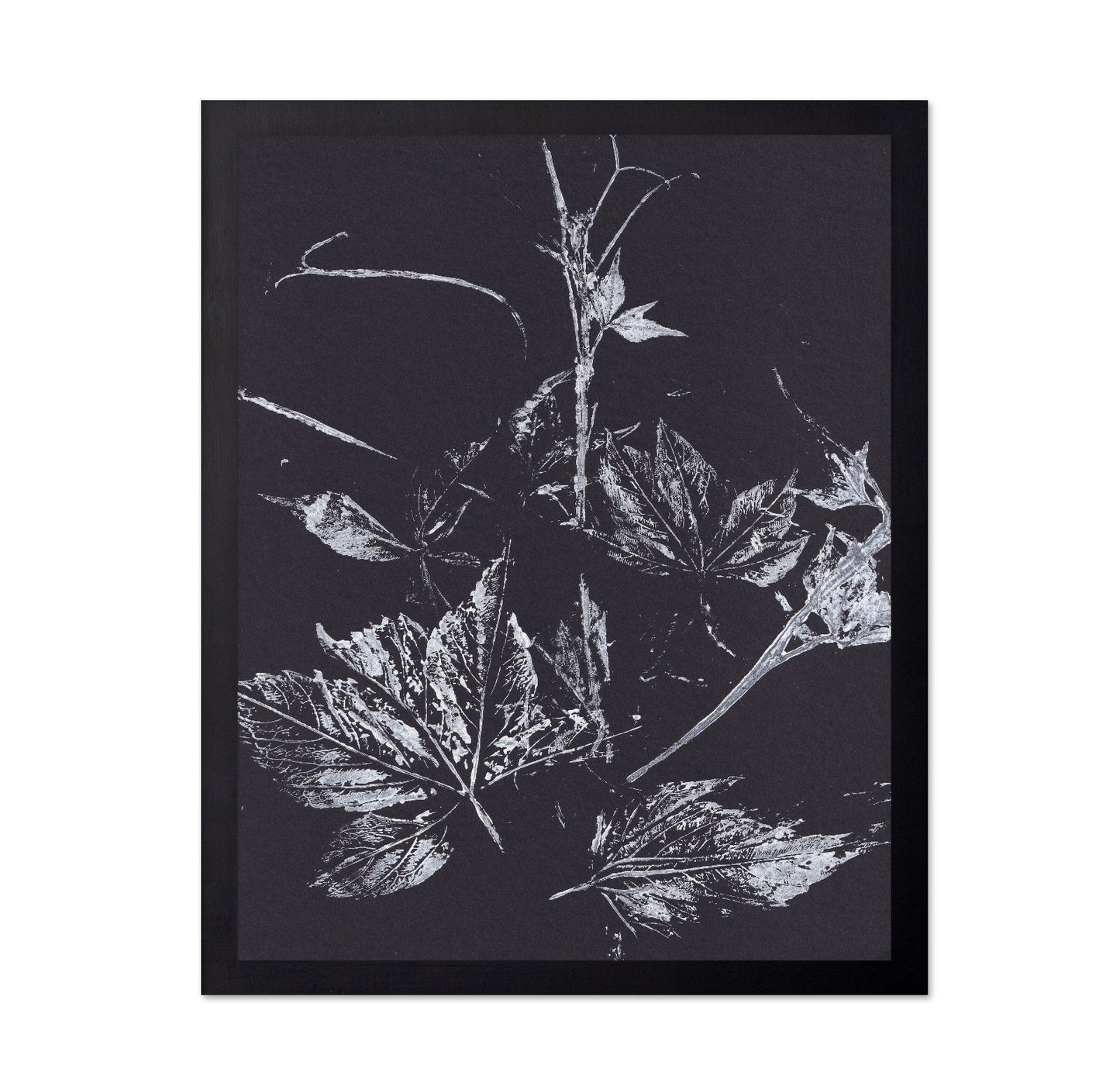 Climbing Plant Imprints
