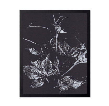 Climbing Plant Imprints