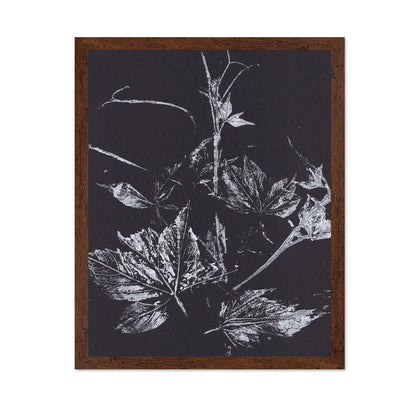 Climbing Plant Imprints