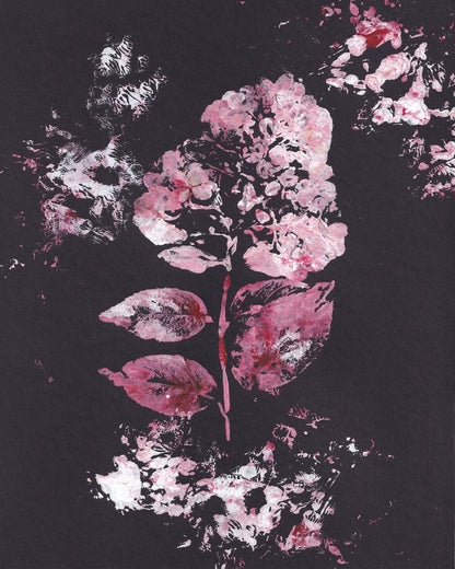 Pink Hydrangea Bloom No1