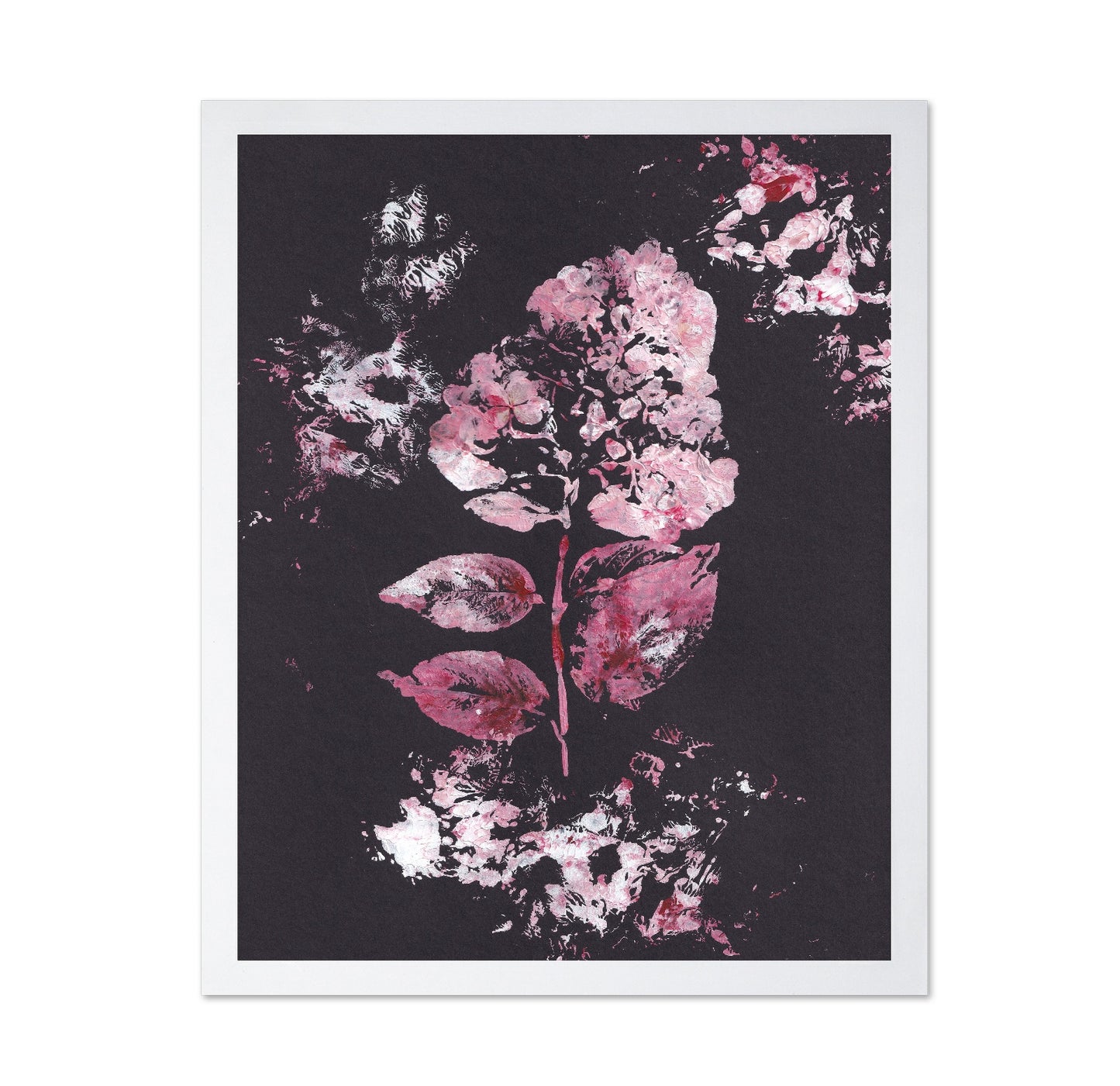 Pink Hydrangea Bloom No1