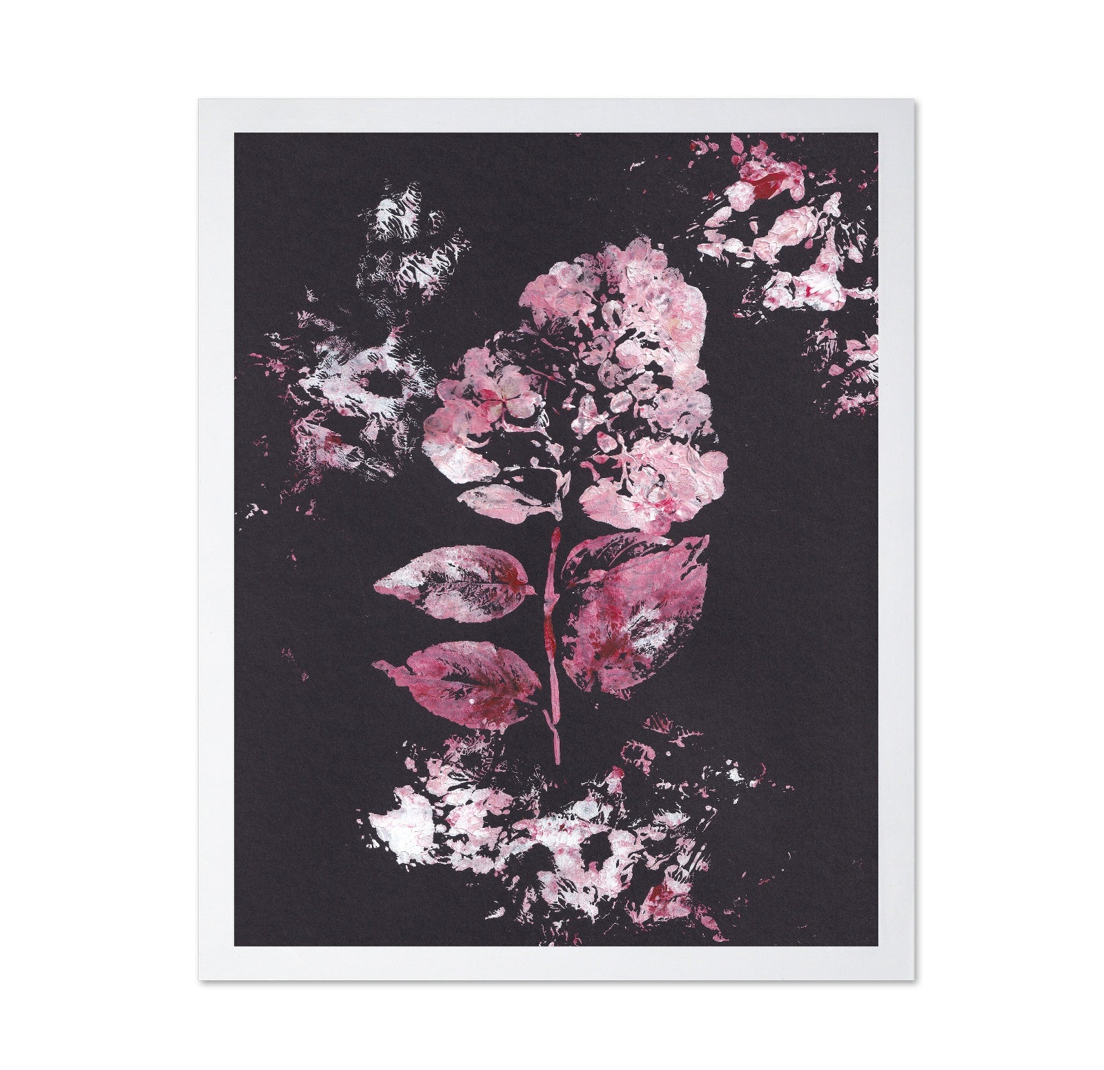 Pink Hydrangea Bloom No1