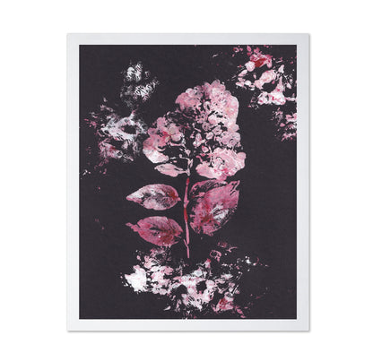 Pink Hydrangea Bloom No1