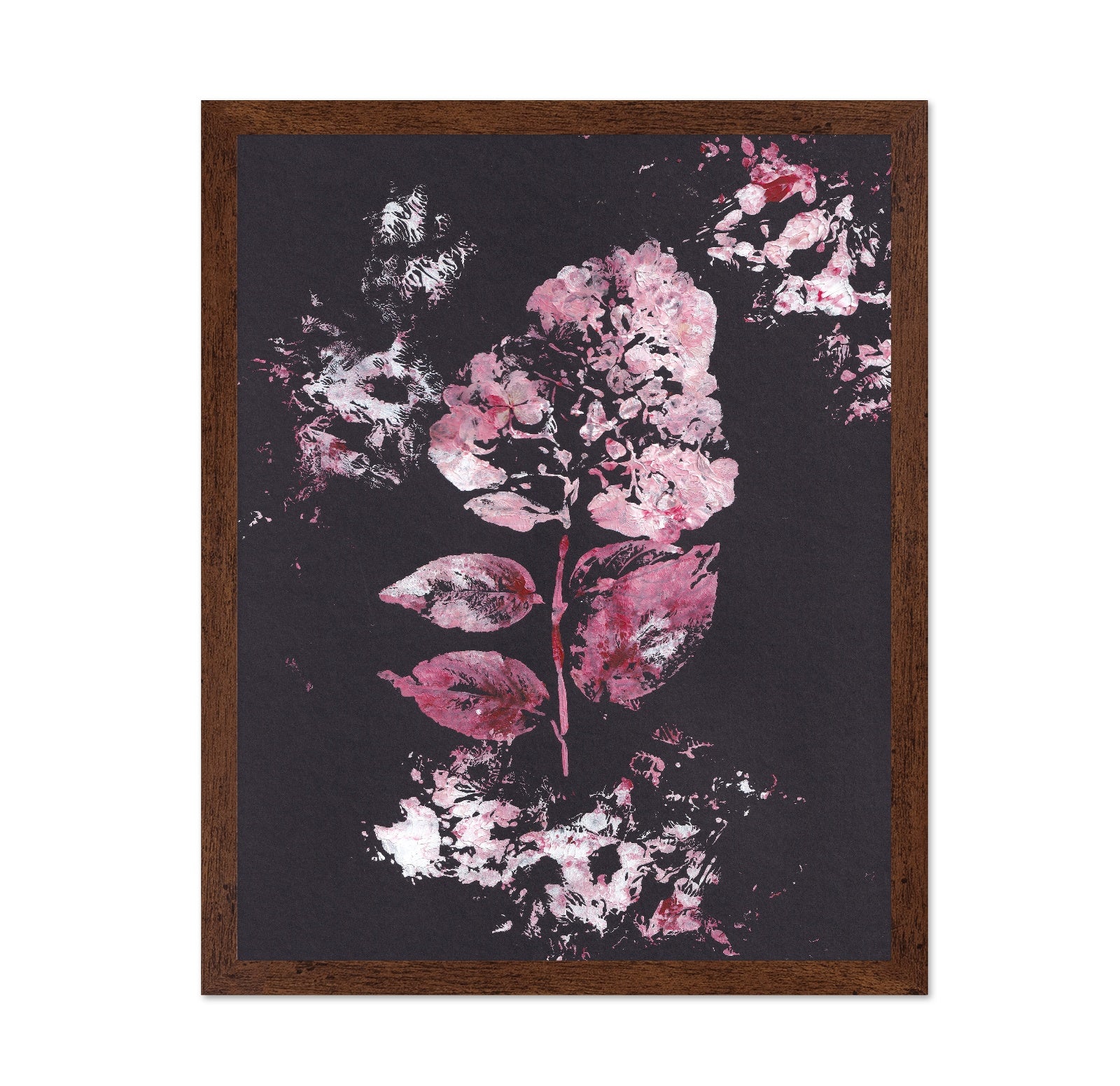 Pink Hydrangea Bloom No1