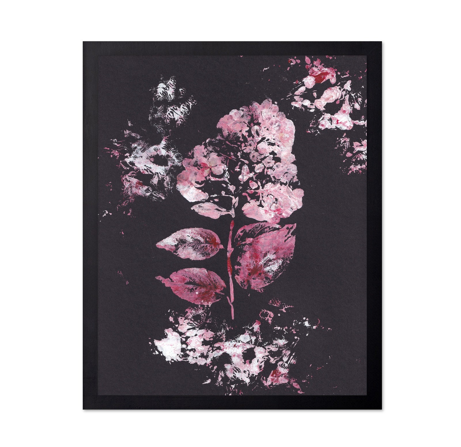 Pink Hydrangea Bloom No1