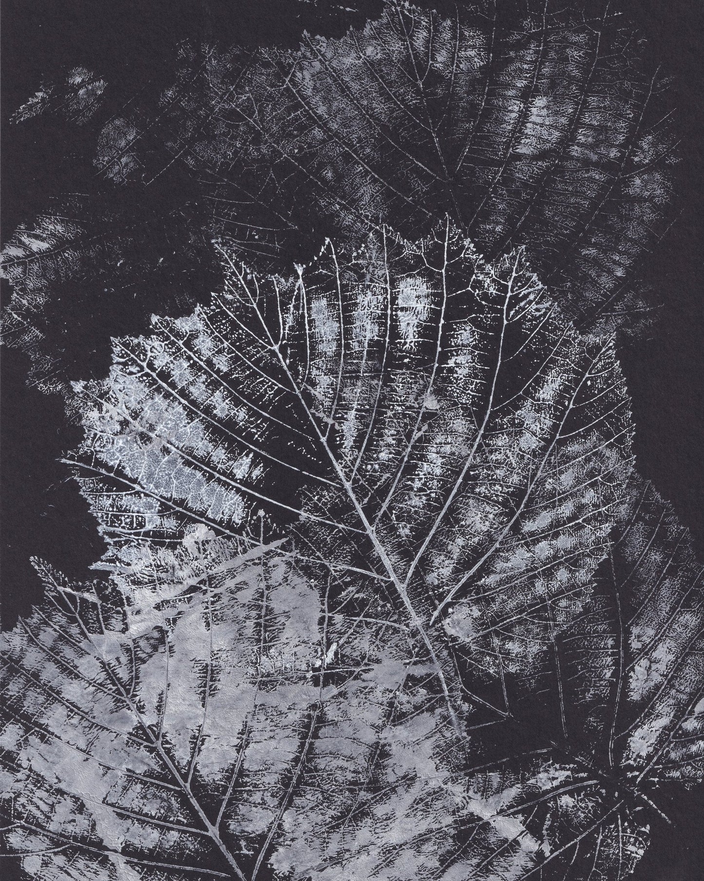 Botanical Vein Pattern