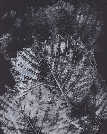 Botanical Vein Pattern