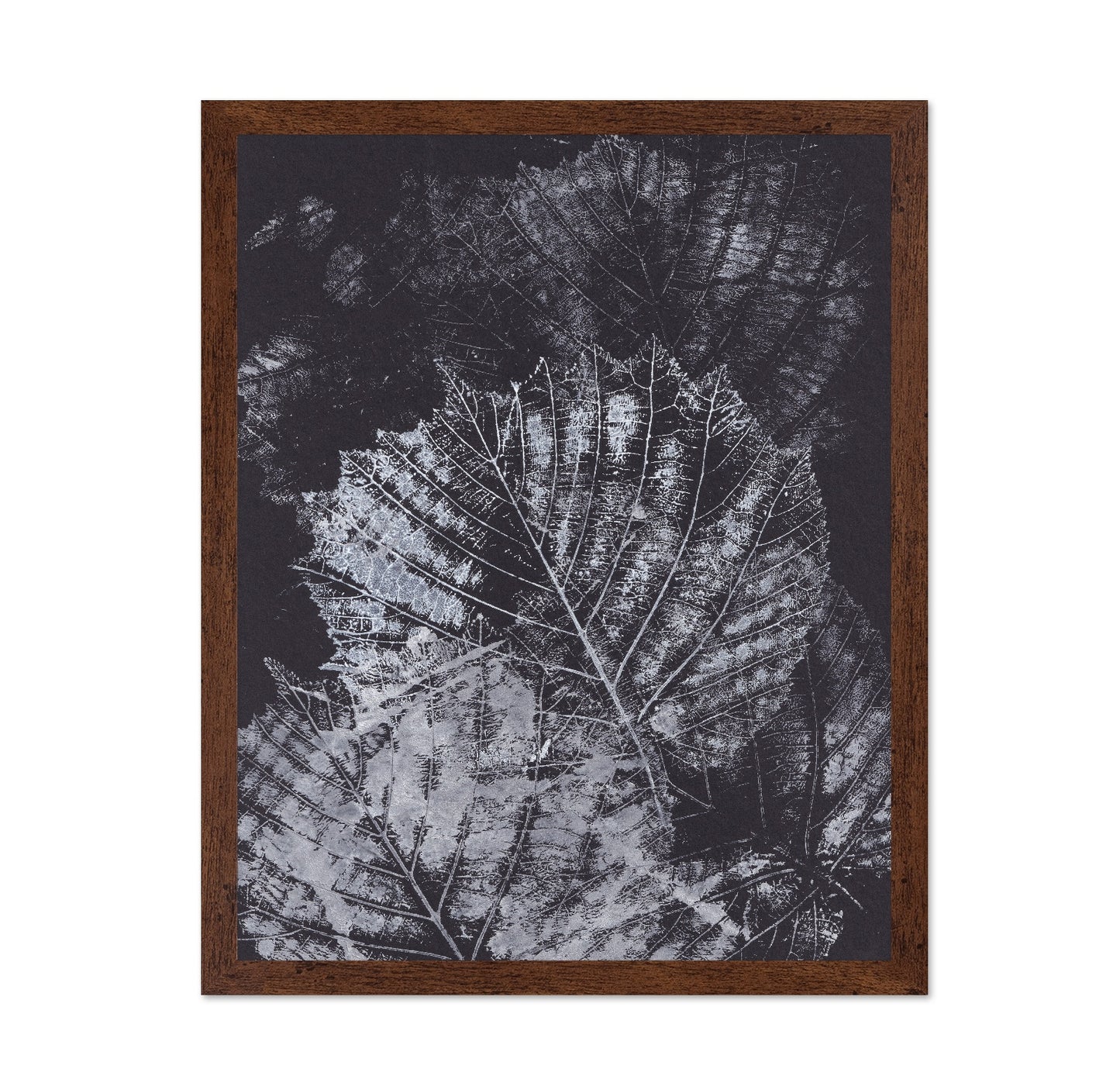 Botanical Vein Pattern