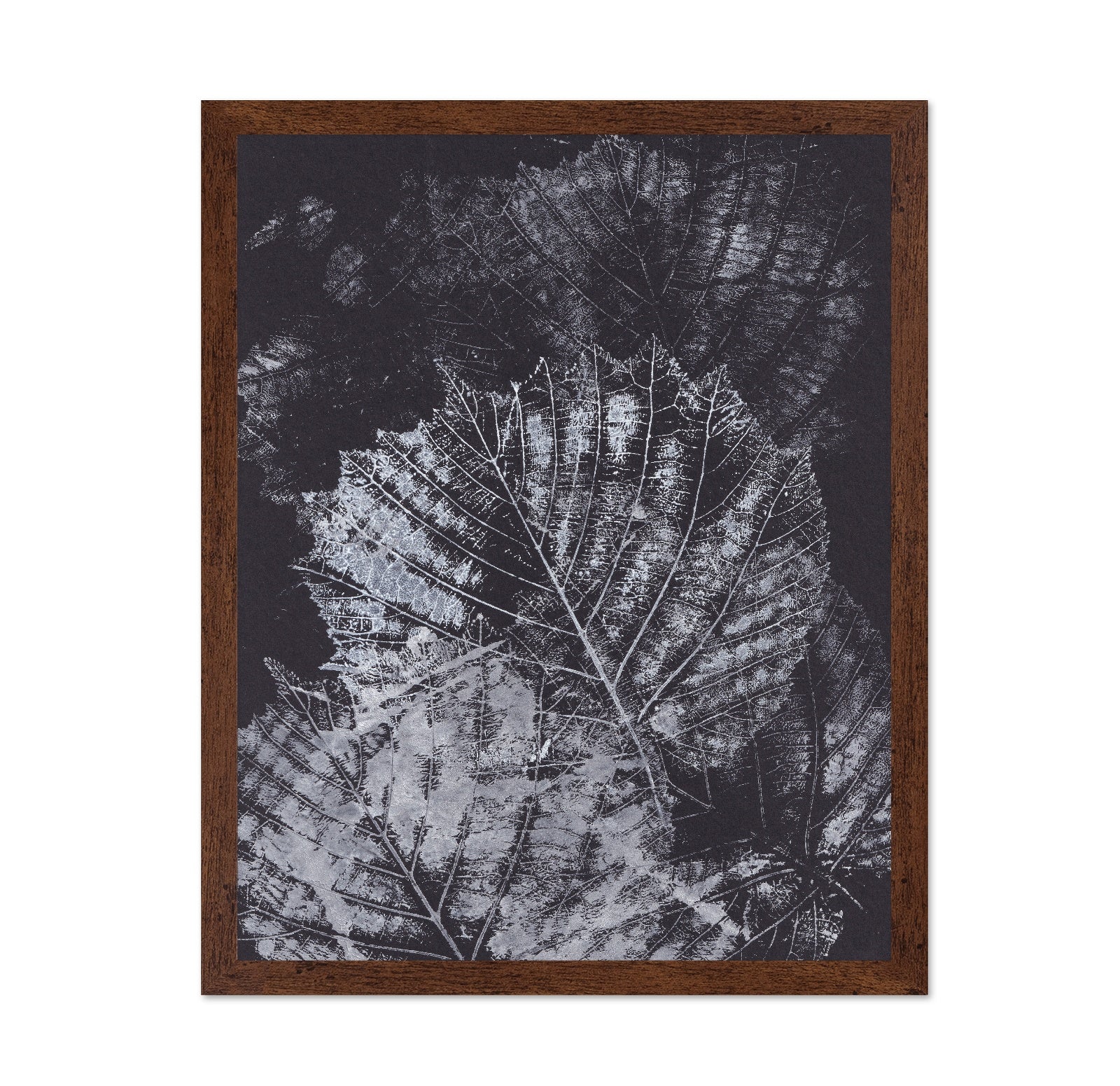 Botanical Vein Pattern