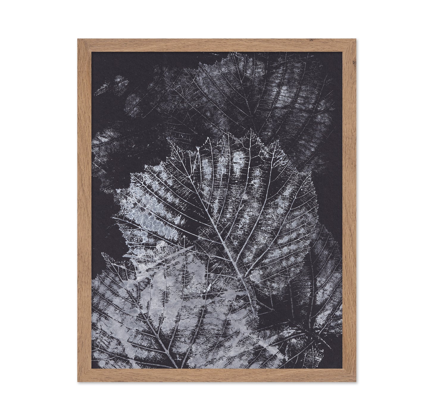 Botanical Vein Pattern