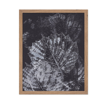 Botanical Vein Pattern