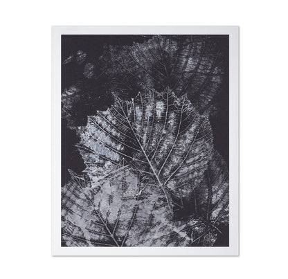 Botanical Vein Pattern