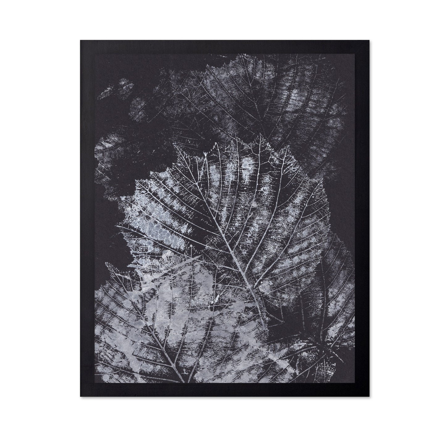 Botanical Vein Pattern